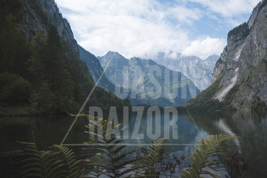 DSCF0056_1 | jasonraizor - Realisiert mit Pictrs.com