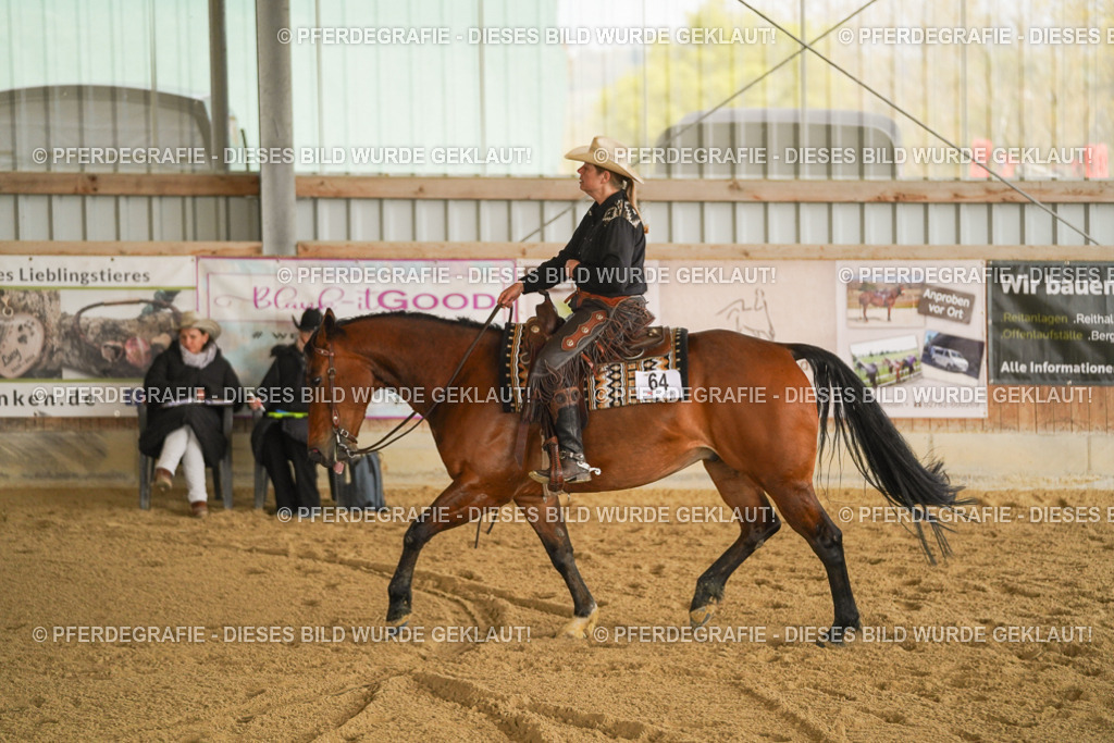 DSC02691 | Pferdegrafie