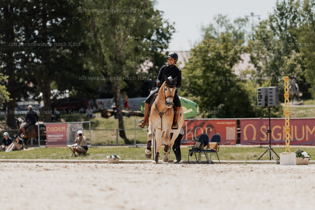 WE_SP_Stoib_308_PI2025_1638 | Pferd International München 2025