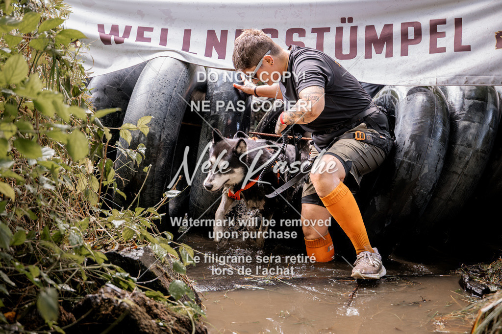 nelerasche_Hunsrück2026_Sa1400-1500_158 | nelerasche