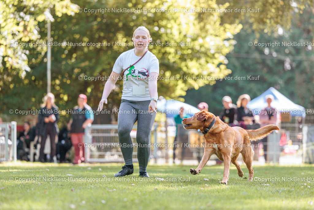 THS-HSV-Blumenthal-2026-Nickbest-Hundefotografie-3783 | Dein Hund! Dein Moment! Deine Erinnerungen! Hundefotografie in Bremen Blumenthal. Ich fange die besonderen Momente deines Vierbeiners ein – ob Indoor mit Blitzanlage oder in der freien Natur. Sicher dir dein Moment und dein Termin für eure Erinnerungen.