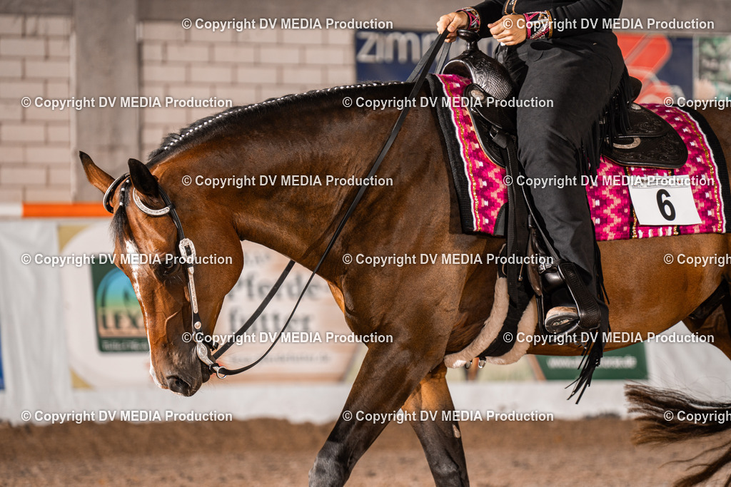 ZH200632 | dv-media-shop - Realisiert mit Pictrs.com