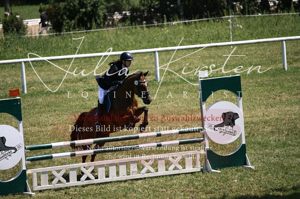 DSC_0030 | Pferde- und Turnierfotografie in Westsachsen. Pferdeportraits, Auftragszeichnungen und intuitive Kunst.