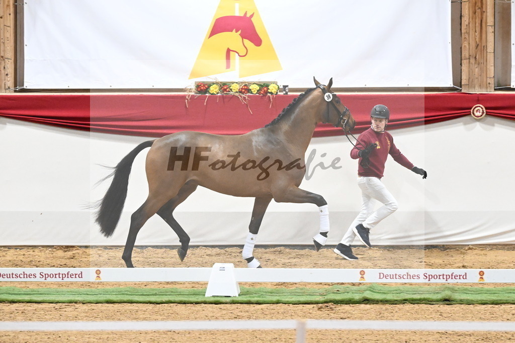 Kat.-Nr. 38 v. Bonds_Fathke und Hoth_3260172 | hf-fotografie - Realisiert mit Pictrs.com