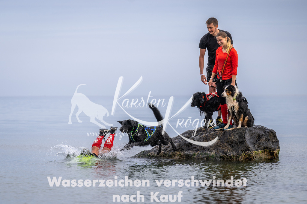 1219_ZZ90867 | kk-dogfotos