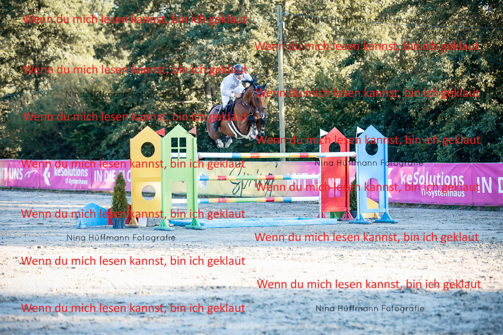 BK1A8892 | Turnierbilder Turnierfotos Nina Hüffmann Turnierfotografie Pferdefotografie Tierzeichnung Haustierzeichnung Pferdezeichnung Hundezeichnung Videograf  - Realisiert mit Pictrs.com
