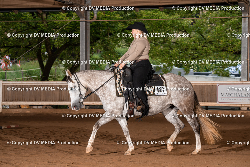 Erbach Tag 3-82 | dv-media-shop - Realisiert mit Pictrs.com