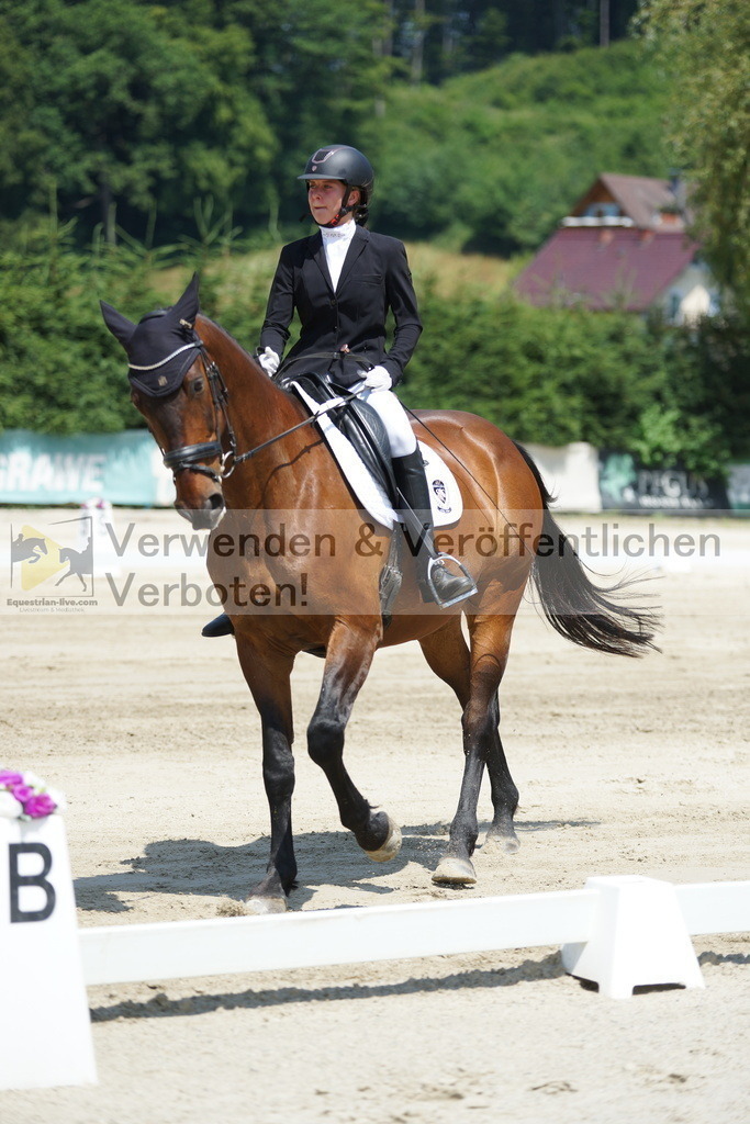 DSC04812 | equestrian-live-com