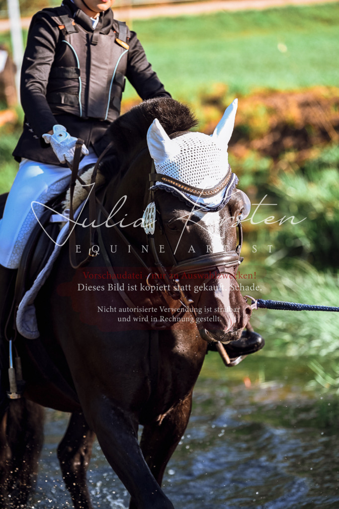 DSC_0396 | Pferde- und Turnierfotografie in Westsachsen. Pferdeportraits, Auftragszeichnungen und intuitive Kunst.