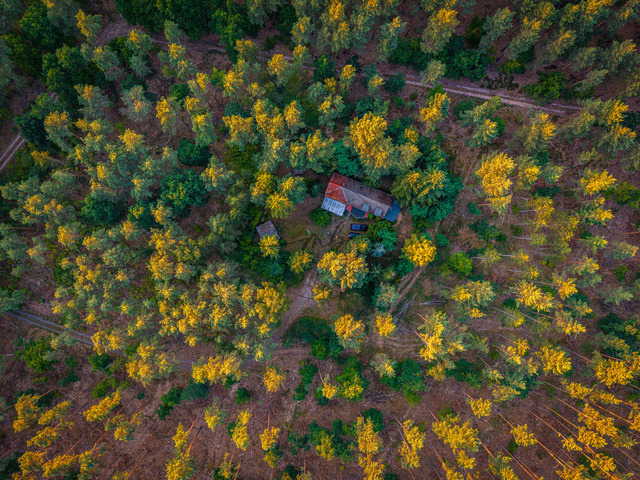 2026-07-10_20-42-32_000 | Einsame Hütte umgeben von Wald aus der Vogelperspektive, herbstliche Stimmung, Teltow-Fläming, Brandenburg, Deutschland - Realisiert mit Pictrs.com