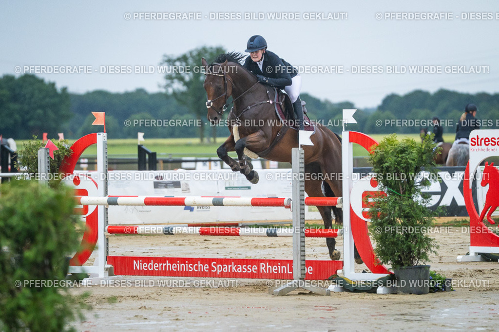 DSC04205 | Pferdegrafie