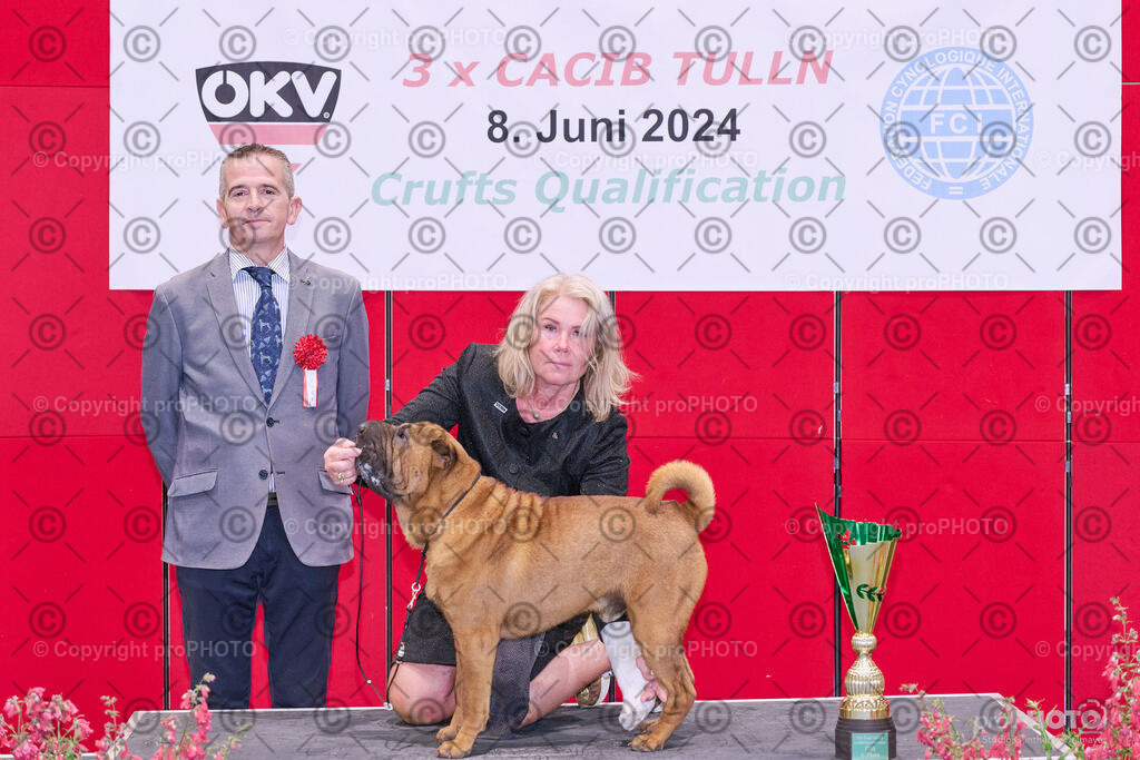 202406_ÖKV-IHA-Tulln24_NZ9_8775 | proPHOTO - Realisiert mit Pictrs.com