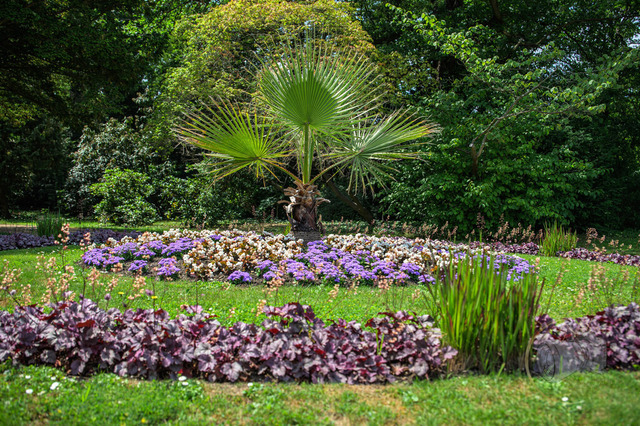 _DSC1314 | Shop für Prints Landschaftsfotografie Sächsische Schweiz Naturfotografie in Thüringen Fotos vom Findlingspark Nochten Kloster Sankt Marienstern Bilder Festung Königstein PanoramaRhododendronpark Kromlau FotogalerSchleswig-Holstein Küstenlandschaften