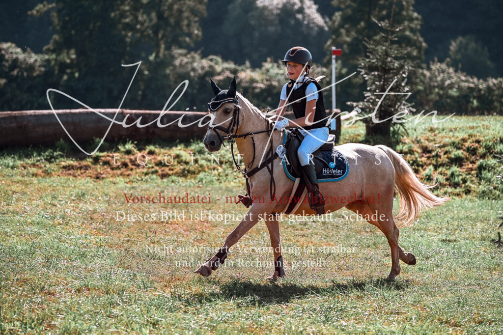 DSC_1052 | Pferde- und Turnierfotografie in Westsachsen. Pferdeportraits, Auftragszeichnungen und intuitive Kunst.