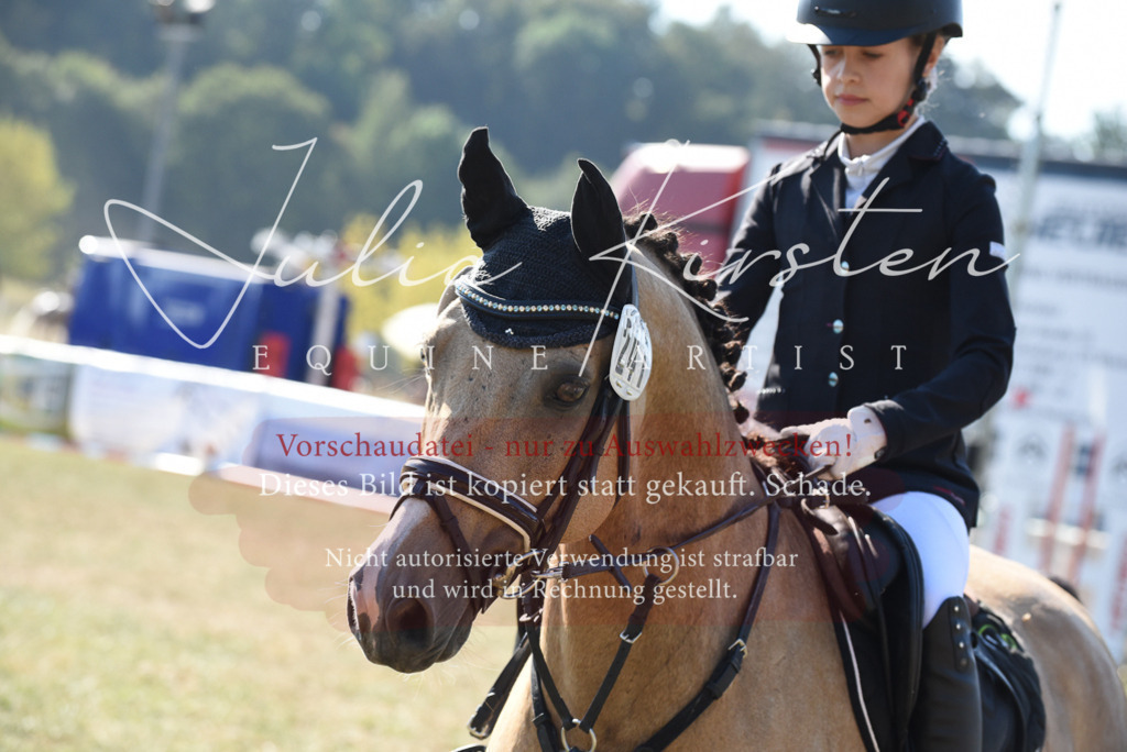 DSC_6065 | Pferde- und Turnierfotografie in Westsachsen. Pferdeportraits, Auftragszeichnungen und intuitive Kunst.