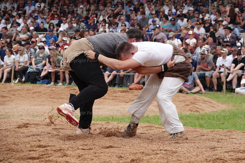 DSC01247 | Schwingen - Realisiert mit Pictrs.com
