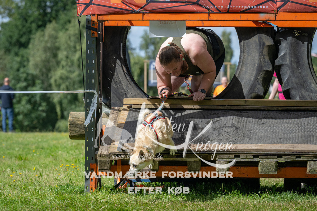 1540_ZZ93648 | kk-dogfotos