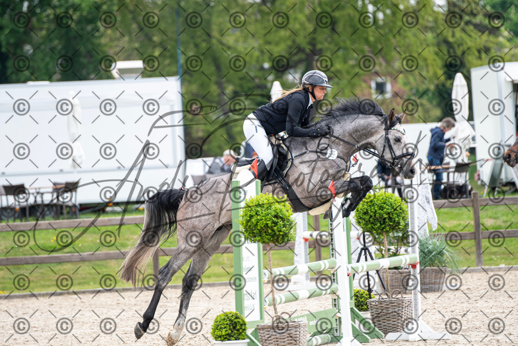 KPT_2266 | andre_photographic