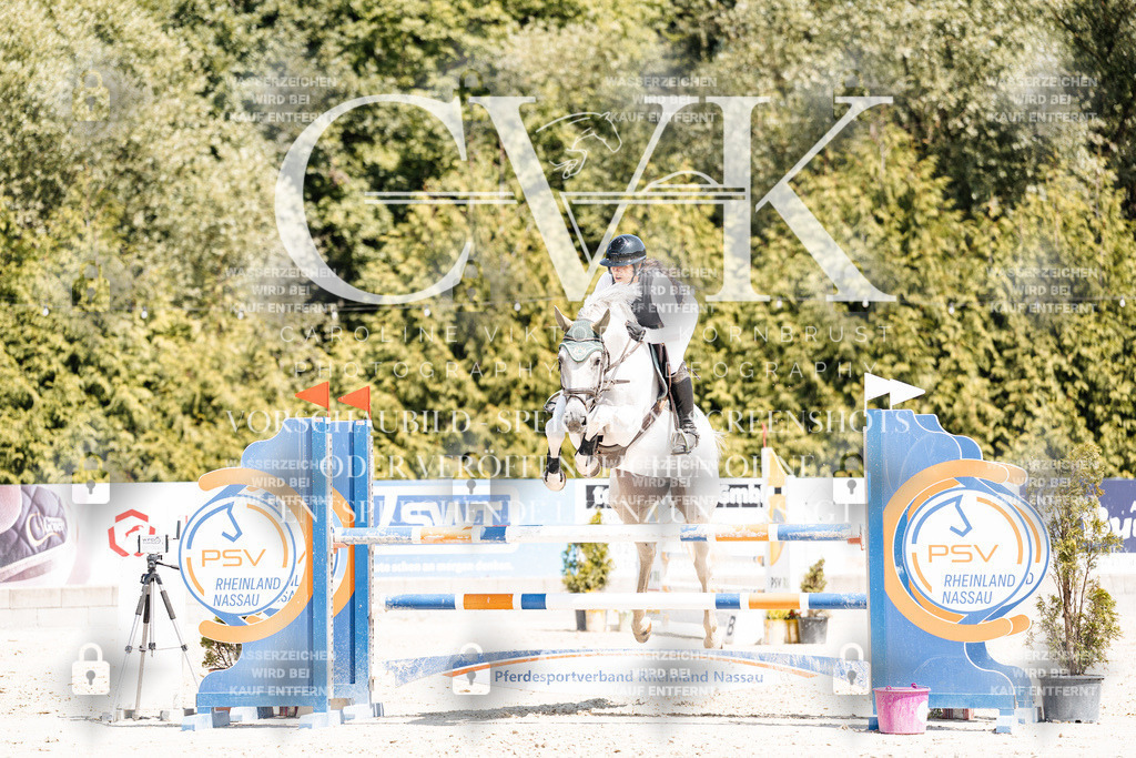 CK900721 | Turnierfotografie Pferdefotografie Trier Rheinland-Pfalz Pferdesport Reitsport Tierfotografie Sportfotografie Pferdevideo Pferdevideografie Equestrianvideography equestrianphotography  - Realisiert mit Pictrs.com
