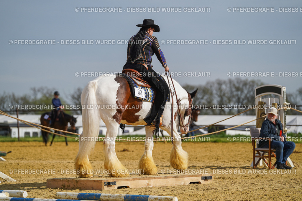 DSC01626 | Pferdegrafie