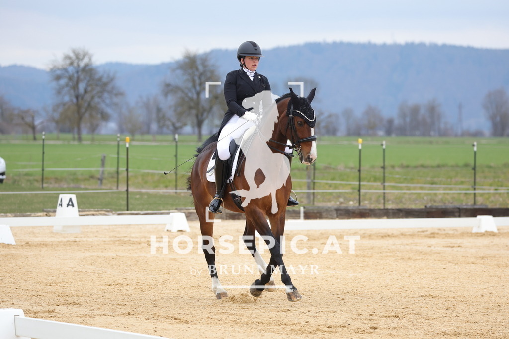 0P6A5231 | Willkommen bei Brunnmayr - Design & Fotografie – Ihrem Spezialisten für Reitturniere und Pferdeveranstaltungen in Oberösterreich, Salzburg und Bayern! Seit über 17 Jahren sind wir leidenschaftlich dabei.