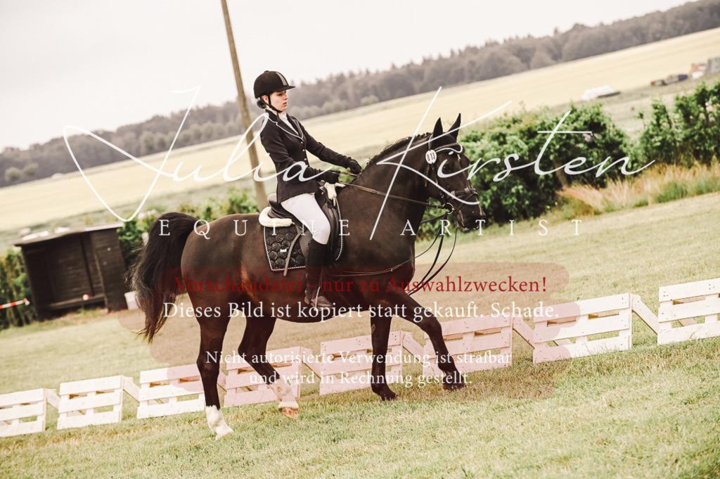 DSC_4963 | Pferde- und Turnierfotografie in Westsachsen. Pferdeportraits, Auftragszeichnungen und intuitive Kunst.