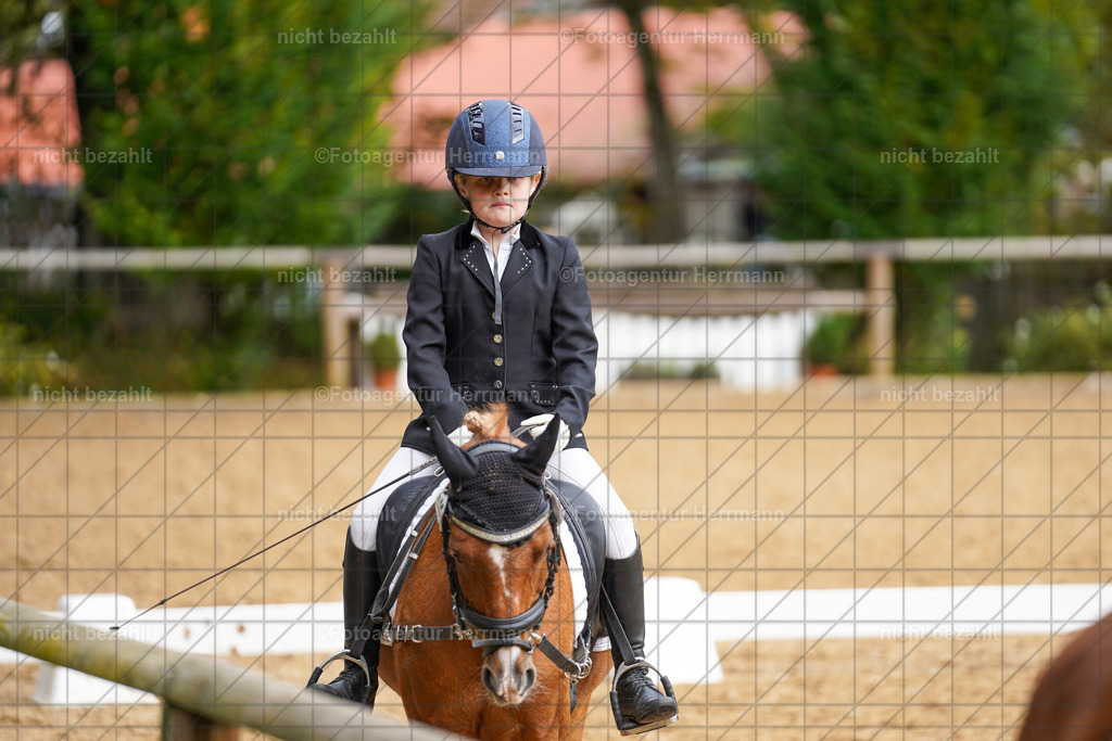 20221008-FAH01236 | Diessen am Ammersee, 2022, Dressur- und Springturnier, Reitsportbilder, Turnierfotografen Bayern, Pferdefotografen, Fotoagentur Herrmann, Turnierbilder