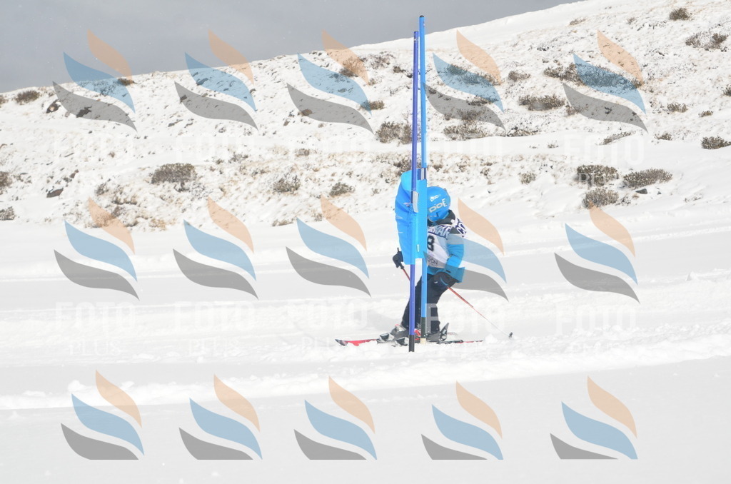 A5049 | holidayphoto