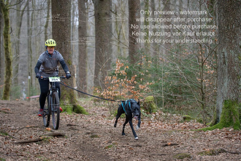 Bike_So-180 | stephaniefillaphotographie - Realisiert mit Pictrs.com