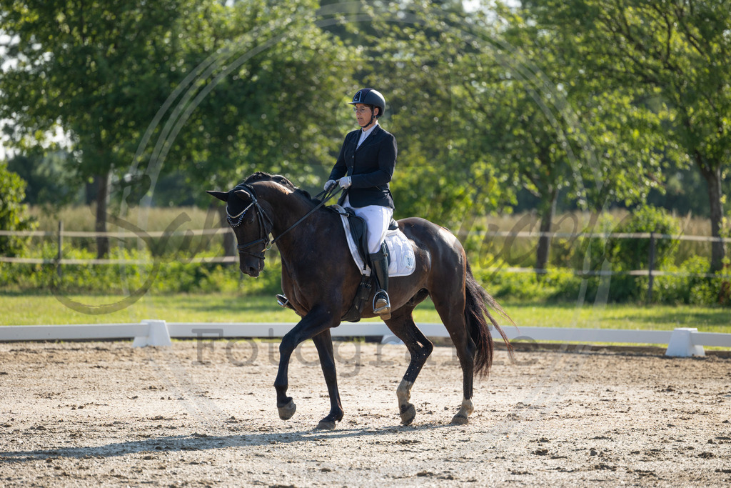 994A4013 | sabrinanicolaifotografie - Realisiert mit Pictrs.com