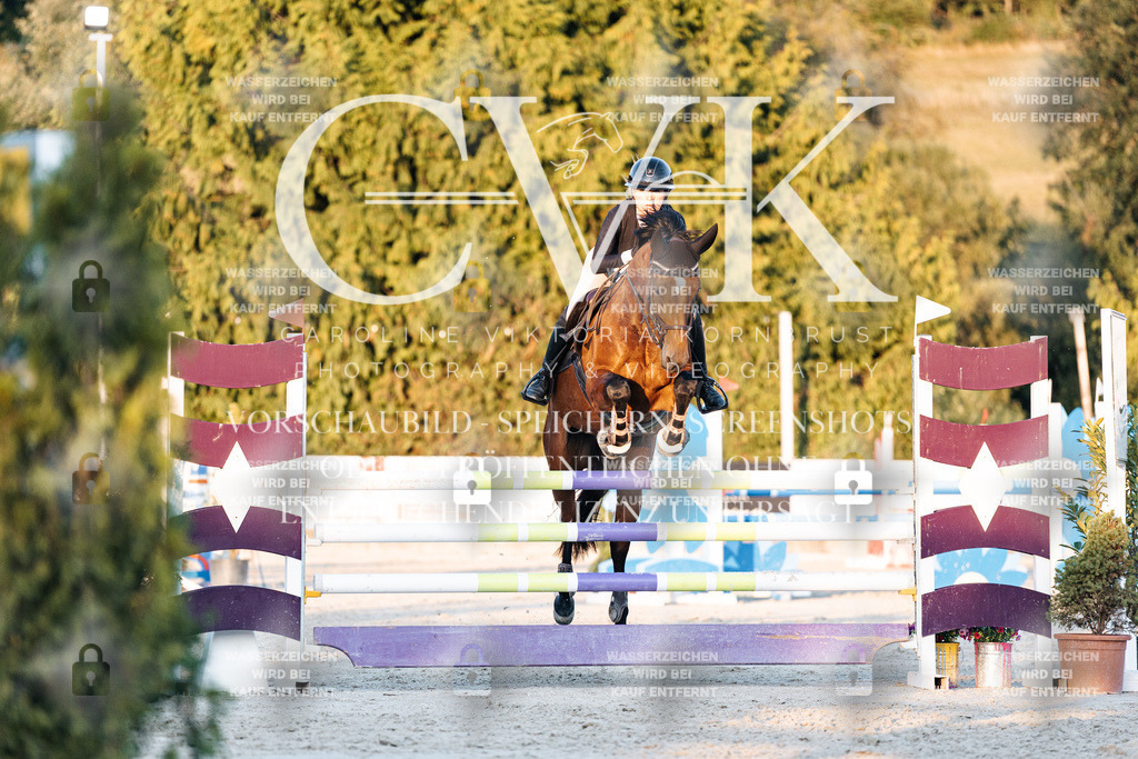 CK901181 | Turnierfotografie Pferdefotografie Trier Rheinland-Pfalz Pferdesport Reitsport Tierfotografie Sportfotografie Pferdevideo Pferdevideografie Equestrianvideography equestrianphotography  - Realisiert mit Pictrs.com