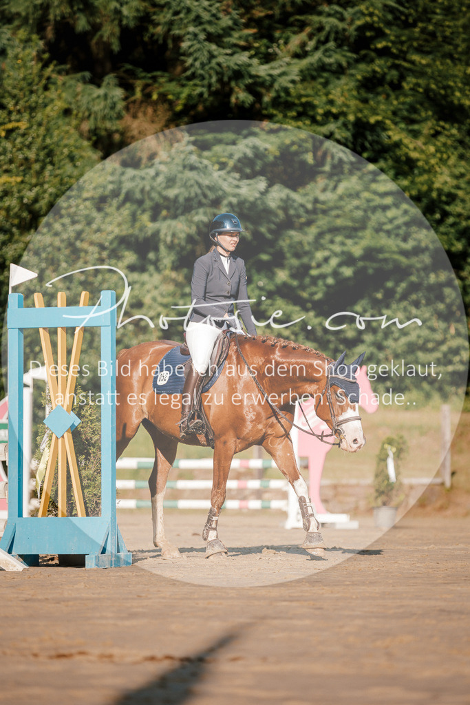 3I6A6153 | Stimmungsvolle Portraits und Reitsportfotografie im Ruhrgebiet und im Münsterland.

Pferdefotografie, Hundefotografie, Tierfotografie, Reportagen, Portraits von Tier und Mensch, Turnierfotografie in Bochum, Recklinghausen, Marl, Haltern am See, Dülmen.. - Realisiert mit Pictrs.com