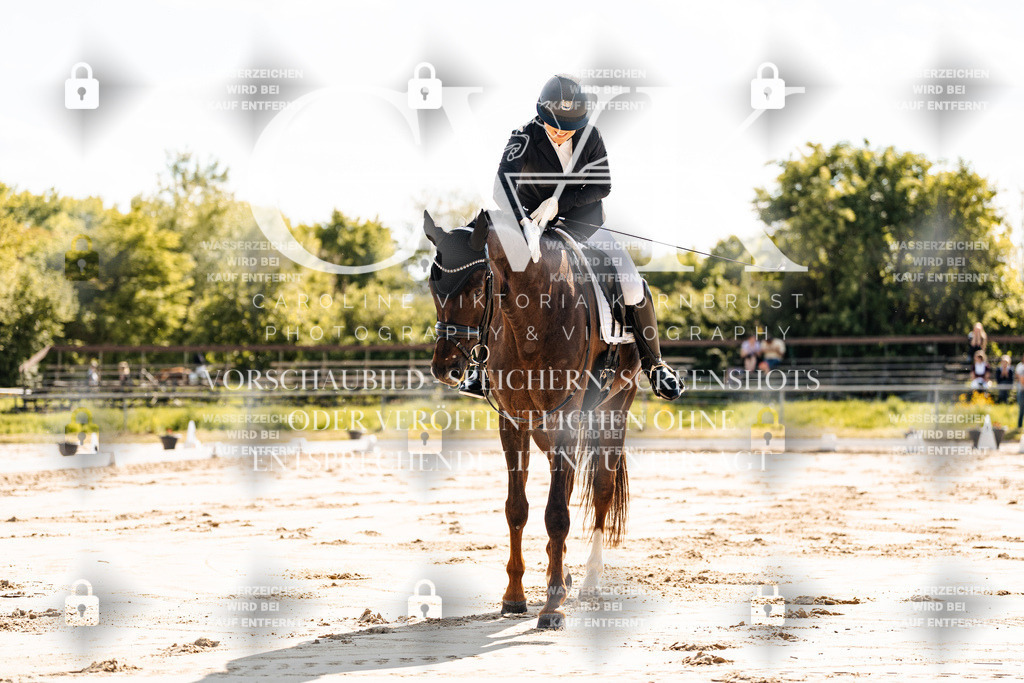 CK909205 | Turnierfotografie Pferdefotografie Trier Rheinland-Pfalz Pferdesport Reitsport Tierfotografie Sportfotografie Pferdevideo Pferdevideografie Equestrianvideography equestrianphotography  - Realisiert mit Pictrs.com