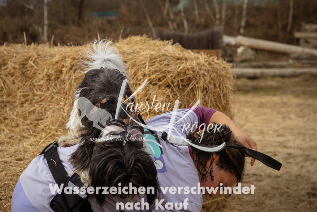 1146_ZZ95540 | kk-dogfotos