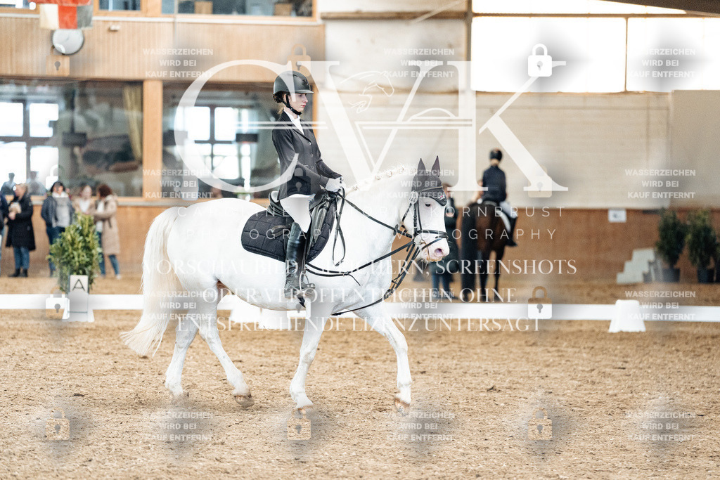 CK900337 | Turnierfotografie Pferdefotografie Trier Rheinland-Pfalz Pferdesport Reitsport Tierfotografie Sportfotografie Pferdevideo Pferdevideografie Equestrianvideography equestrianphotography  - Realized with Pictrs.com