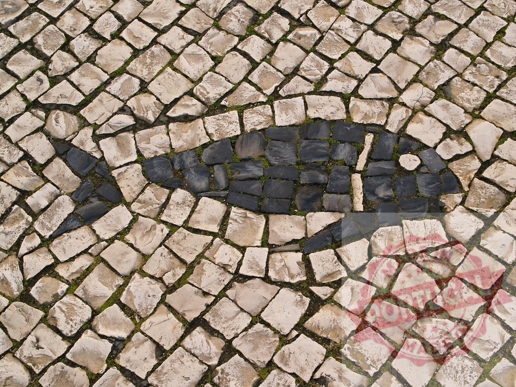 Black fish decorating portuguese calçada pavement | Typical portuguese calçada pavement with a decorative black fish made of basalt stones - Realisiert mit Pictrs.com