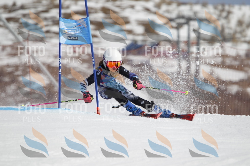 _U3G0532 | holidayphoto