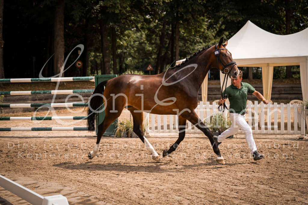 2. Fr00120 | Leoni Ertmer Photography - Realisiert mit Pictrs.com