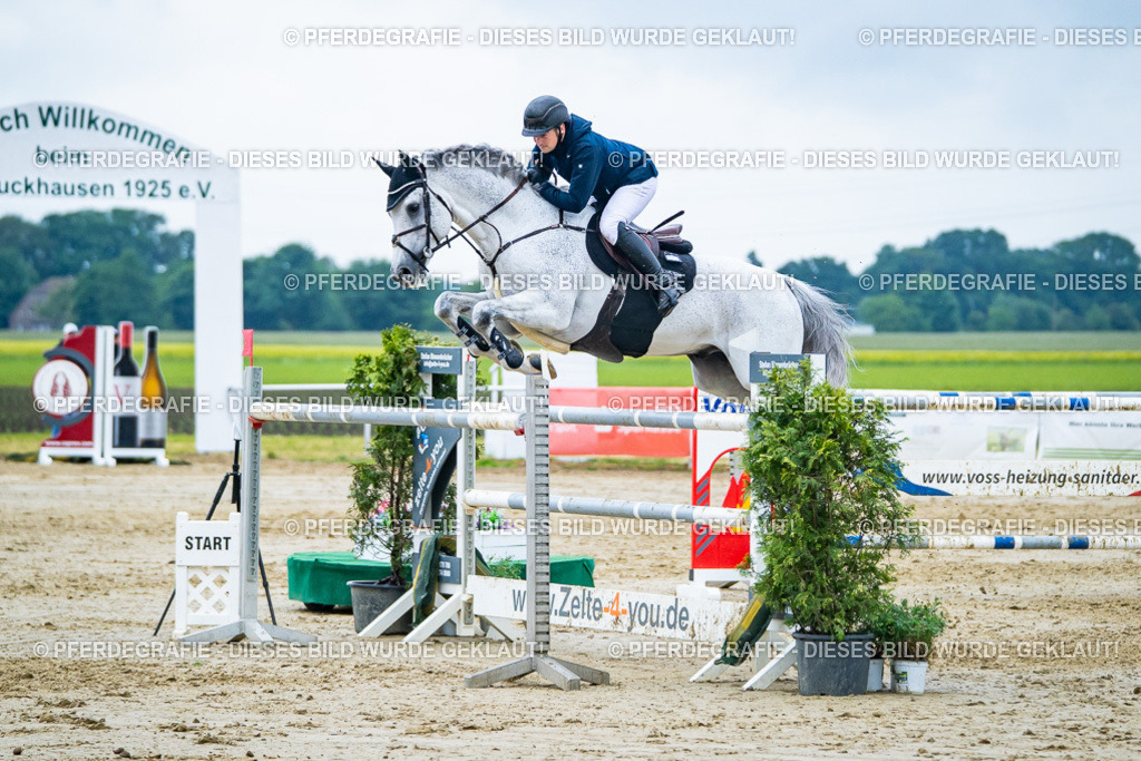 DSC00660 | Pferdegrafie