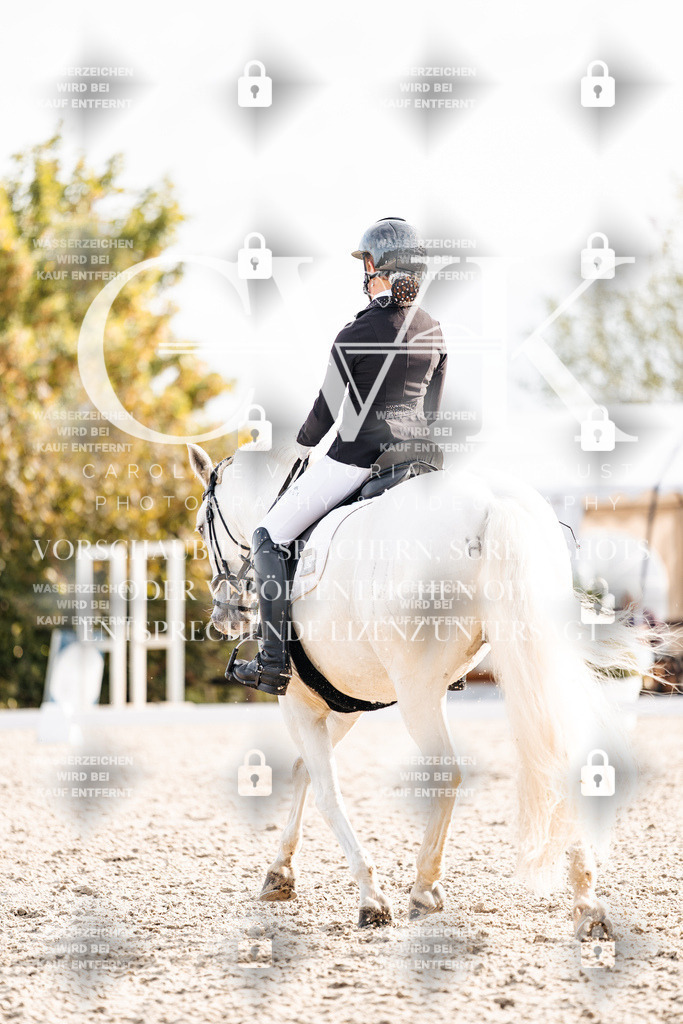 CK901304 | Turnierfotografie Pferdefotografie Trier Rheinland-Pfalz Pferdesport Reitsport Tierfotografie Sportfotografie Pferdevideo Pferdevideografie Equestrianvideography equestrianphotography  - Realisiert mit Pictrs.com