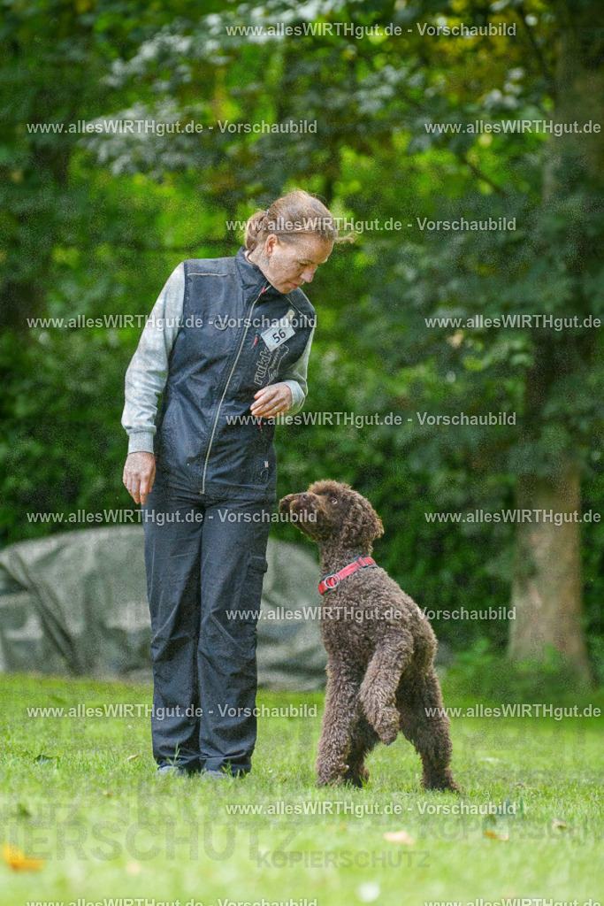 @allesWIRTHgut_Tierfotografie - www.allesWIRTHgut.de - 7R501059 | Professionelle Tierfotografie in Mönchengladbach von Daniel Wirth (allesWIRTHgut). Liebevolle & natürliche Bilder von Hunden & Katzen für unvergessliche Erinnerungen.