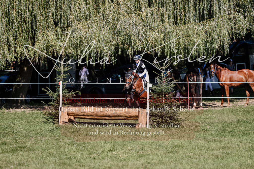 DSC_2826 | Pferde- und Turnierfotografie in Westsachsen. Pferdeportraits, Auftragszeichnungen und intuitive Kunst.