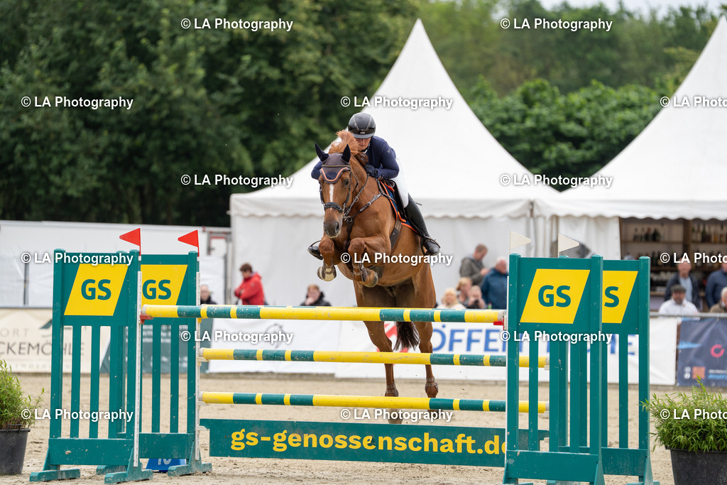 DSC08231 | Entdecke einzigartige Turnierfotos und persönliche Pferde- und Hundeportraits bei LA Photography. Für jeden Reiter und Pferd das perfekte Bild! Stöbere jetzt! - Realisiert mit Pictrs.com