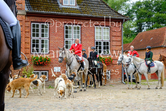 Jagd Knoop 26_MarinaHewigDSCF8677 | Fotografie, FotoArt, PferdesportArt, Pferdesportfotografie, Landschaftsfotografie, Reisefotografie, Reise, Pferde - Realisiert mit Pictrs.com