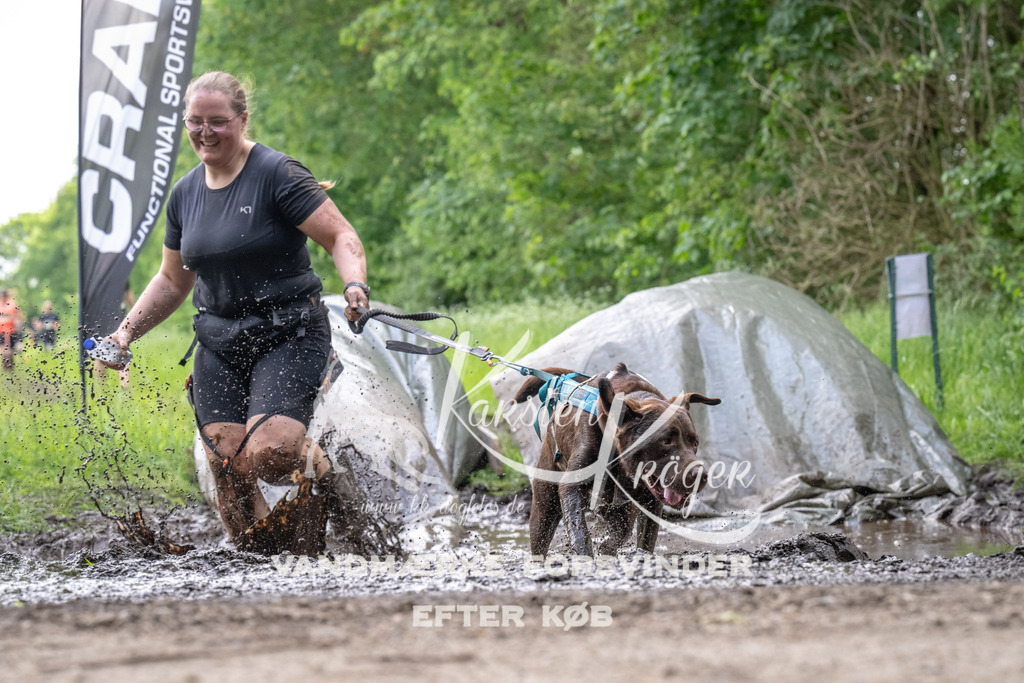 1238_ZZ92747 | kk-dogfotos