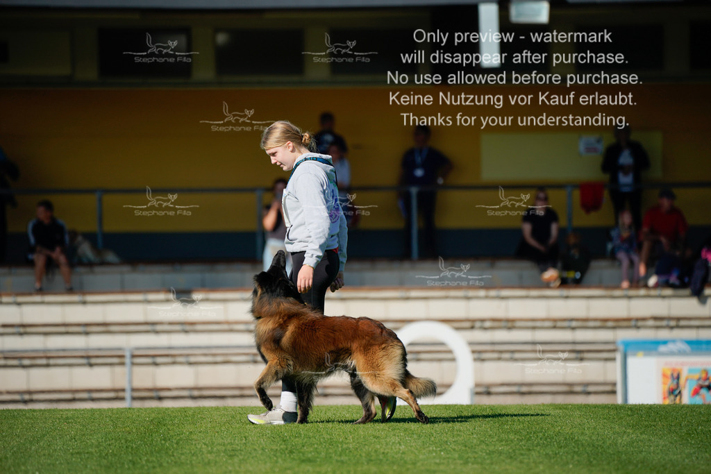 Samstag_Gehorsam_V2 (86) | stephaniefillaphotographie - Realisiert mit Pictrs.com