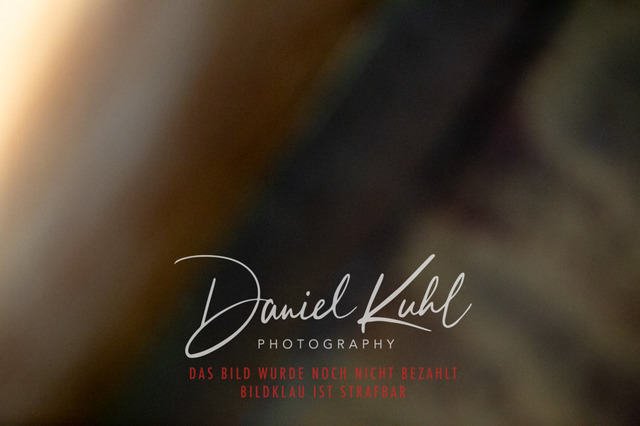 IMG_2065 | Turniersportfotografie; Pferdefotografie; Dressurfotografie