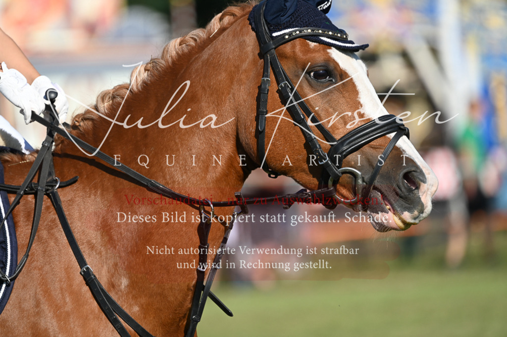 DSC_4950 | Pferde- und Turnierfotografie in Westsachsen. Pferdeportraits, Auftragszeichnungen und intuitive Kunst.