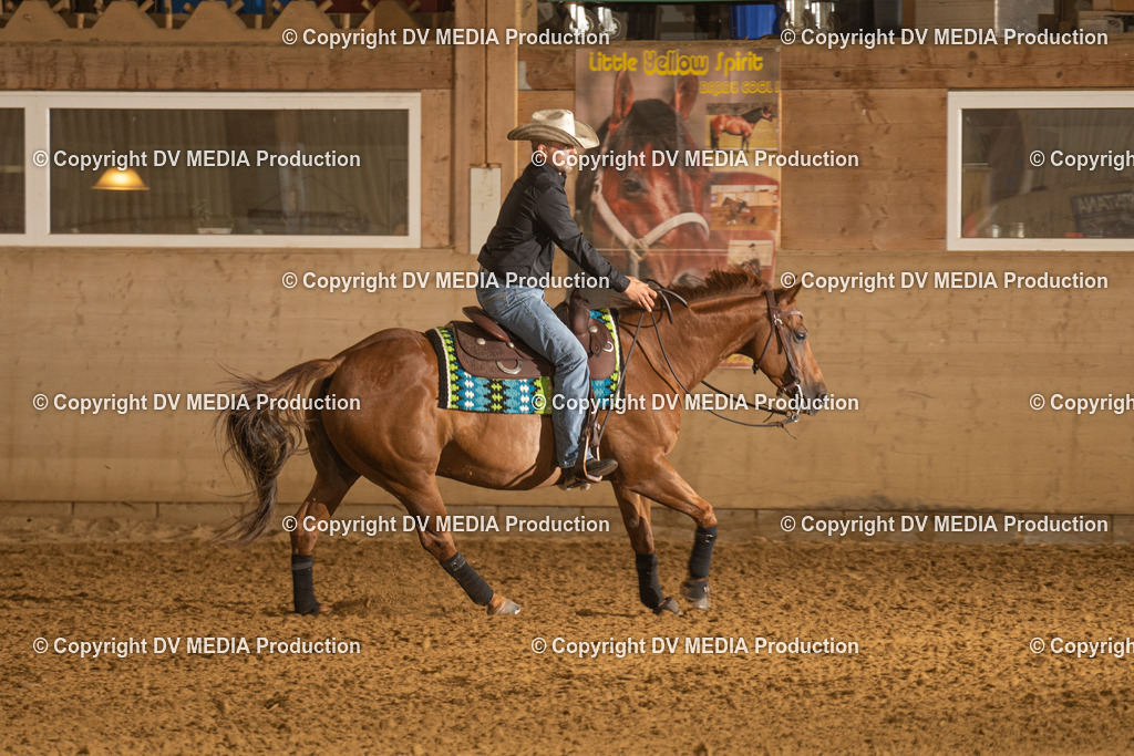 LAU00398 | dv-media-shop - Realisiert mit Pictrs.com