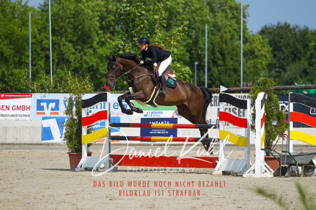 Gut Blee25_Amateuer Stilsprpfg Kl L_0308 | Turniersportfotografie; Pferdefotografie; Dressurfotografie